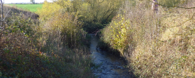 P1140276